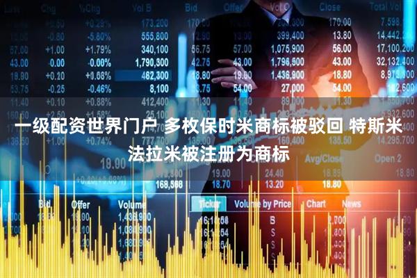 一级配资世界门户 多枚保时米商标被驳回 特斯米法拉米被注册为商标